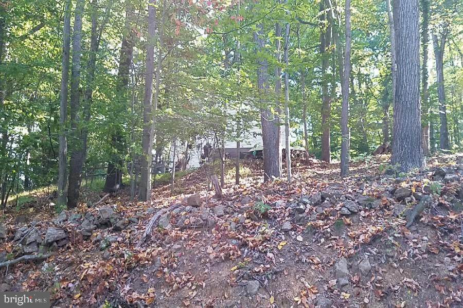 64 Mount Lebanon Road - Photo 1