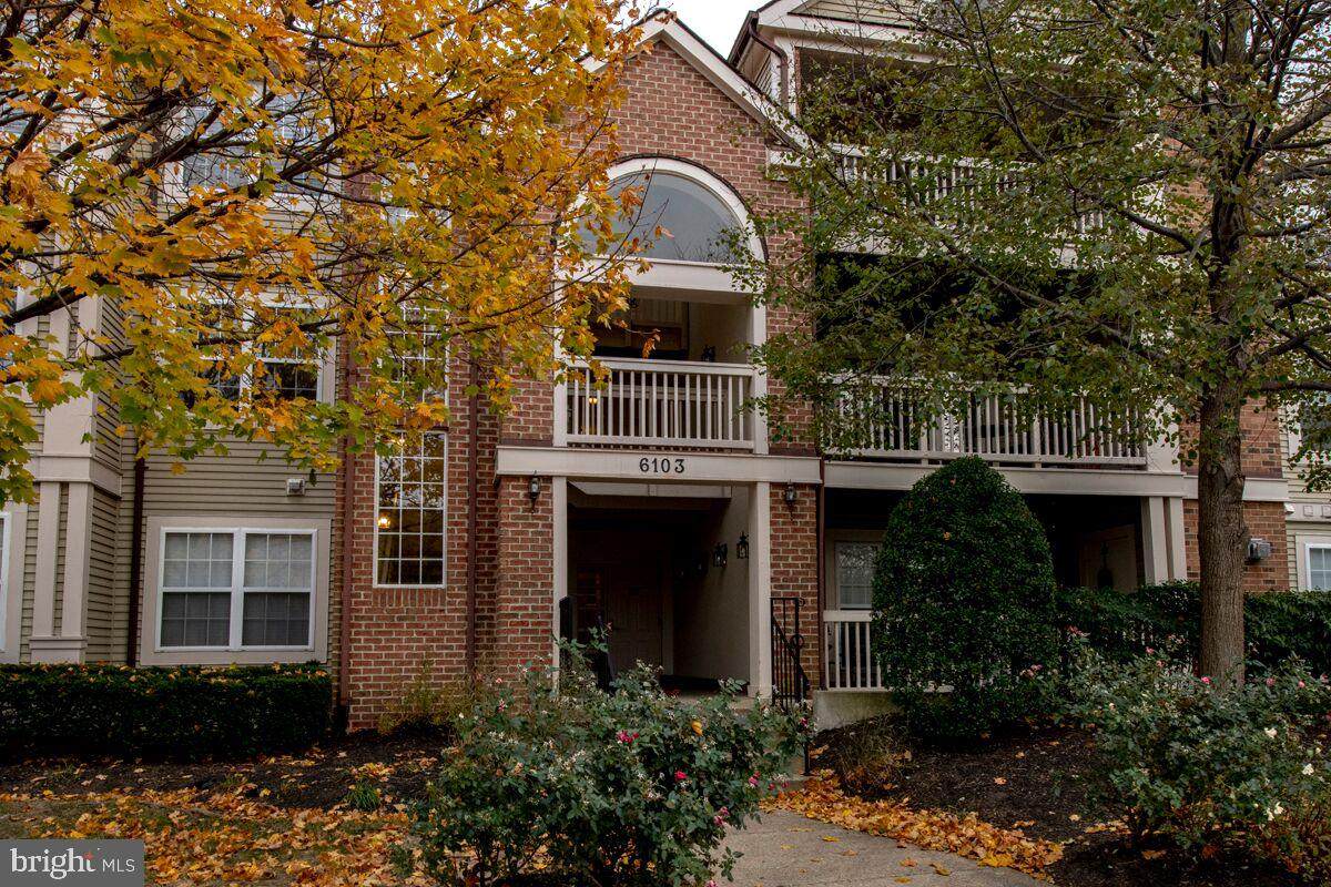 6103 Wigmore Lane - Photo 1