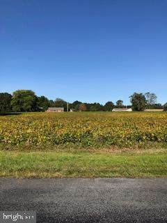 0 Pocomoke River Road - Photo 1