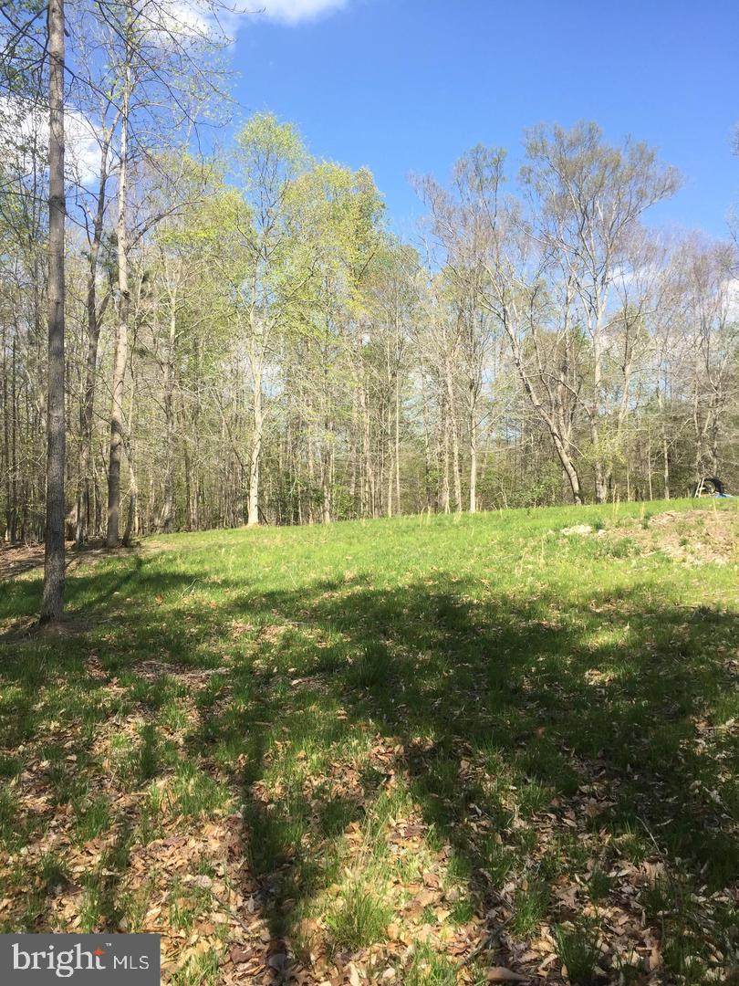 38764 Mount Wolf Road - Photo 1