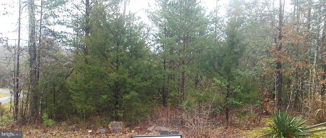 6613 Robinson Road - Photo 1