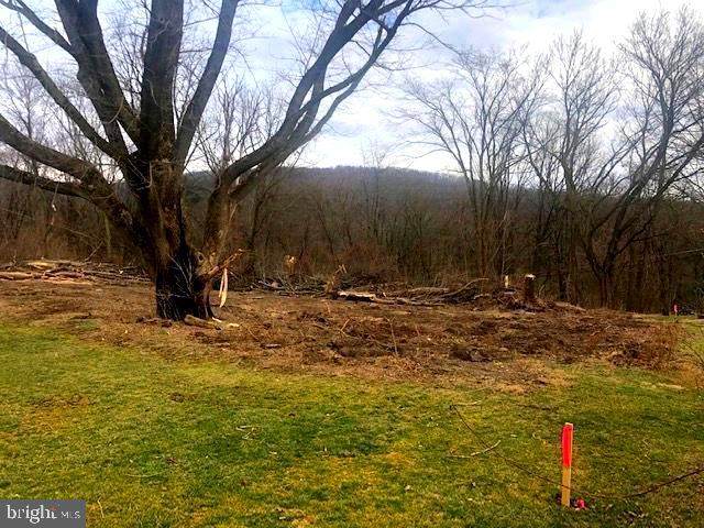 LOT 20 Stephen St. - Photo 1