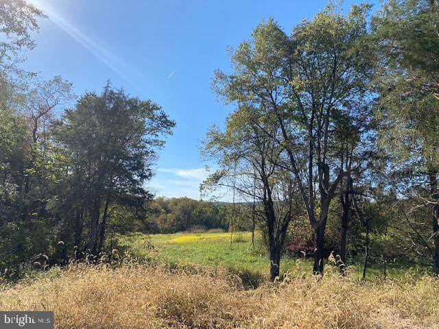 Lot 15 Mountain Ridge Way - Photo 1