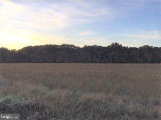Lot 4 Adkins Road - Photo 1