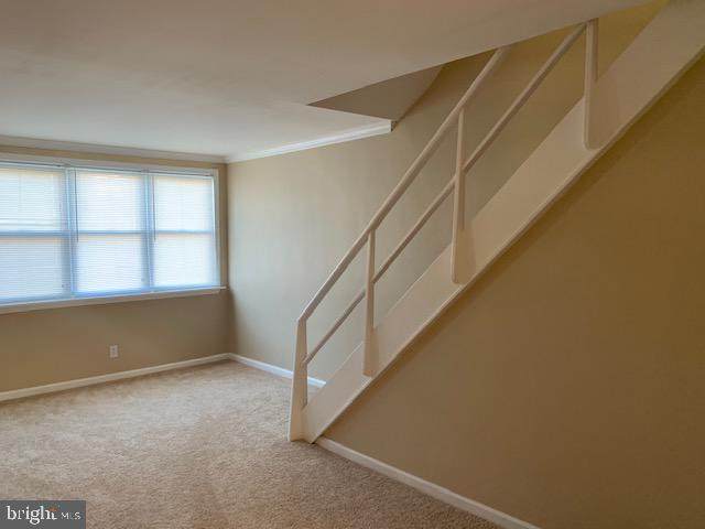 4546 Tolbut Street - Photo 1