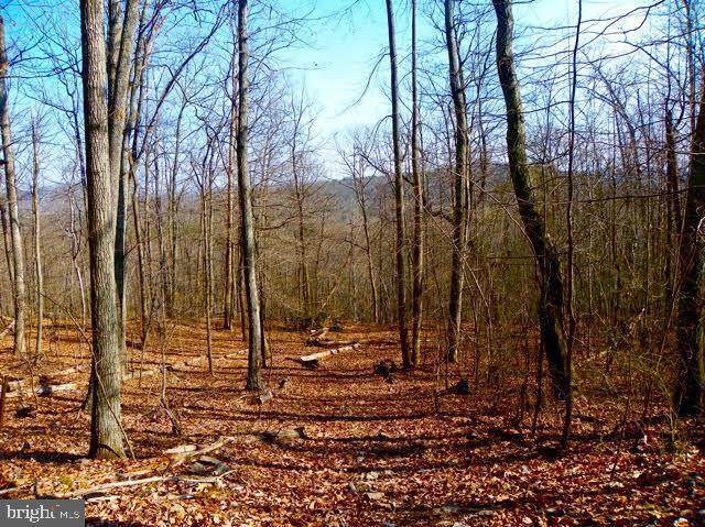 Eagles Nest - Photo 1