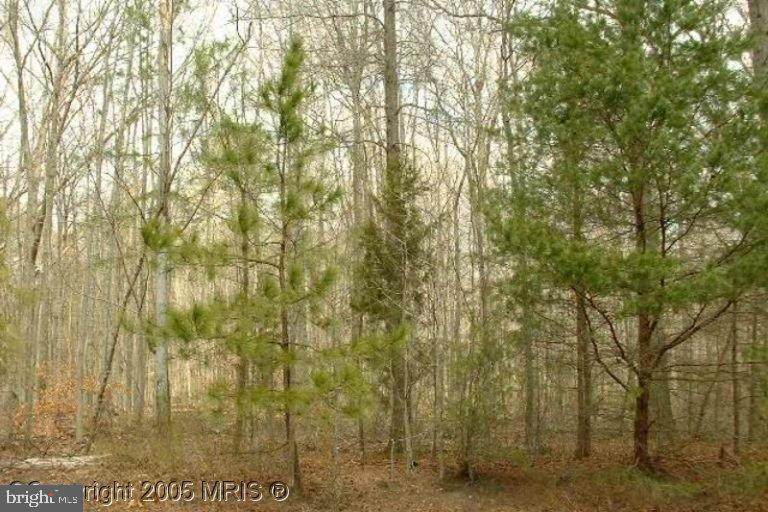 1433 Haile Parkway - Photo 1