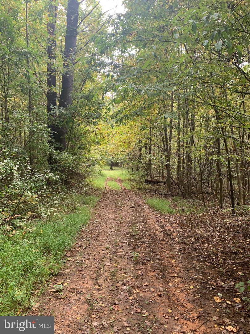 0 Varzara Rd - Photo 1