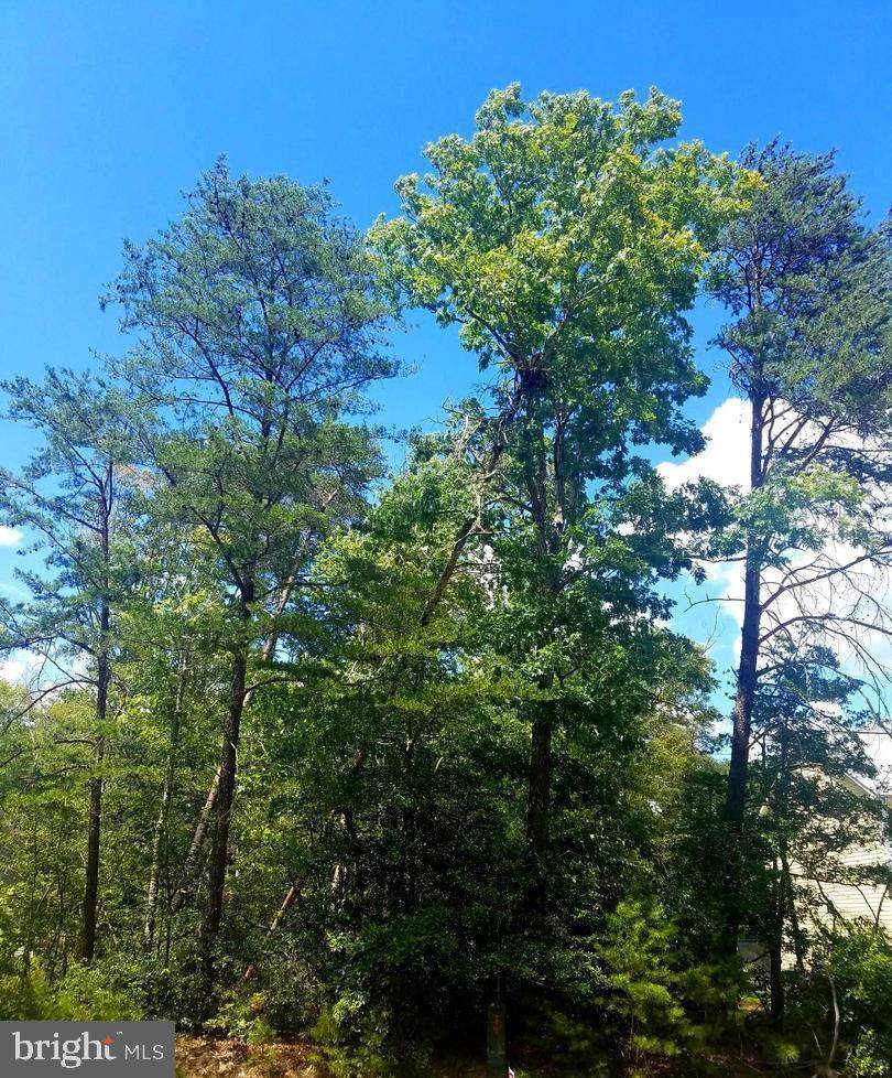 Lot 12 Albrough Boulevard - Photo 1