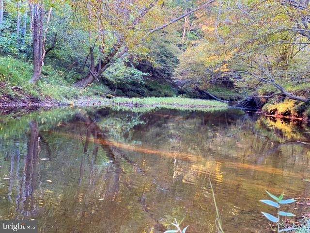 0 Lewistown Road - Photo 1