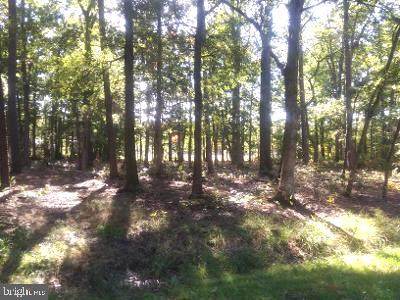 Lot 71 Seth Avenue - Photo 1