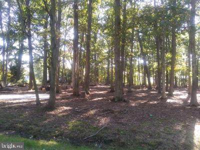 Seth Avenue - Photo 1