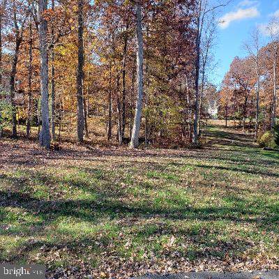 11405 Bluffs Ridge - Photo 1