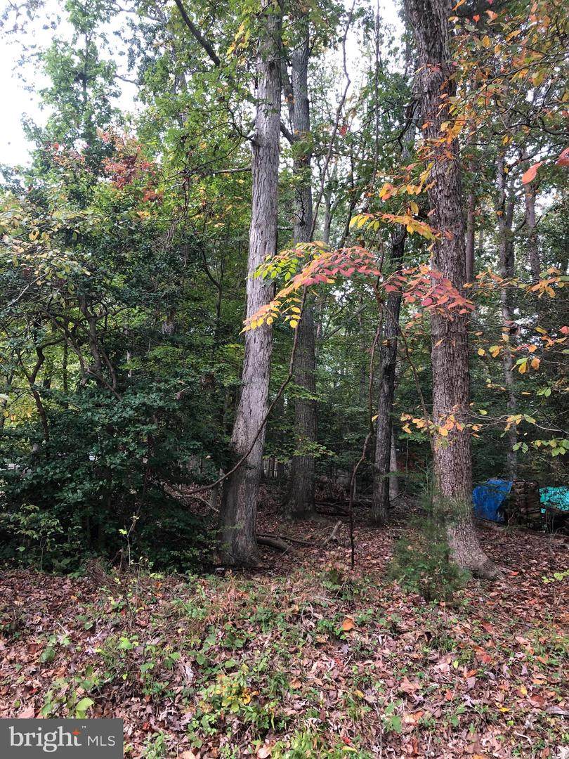 1032 Rimrock Road - Photo 1