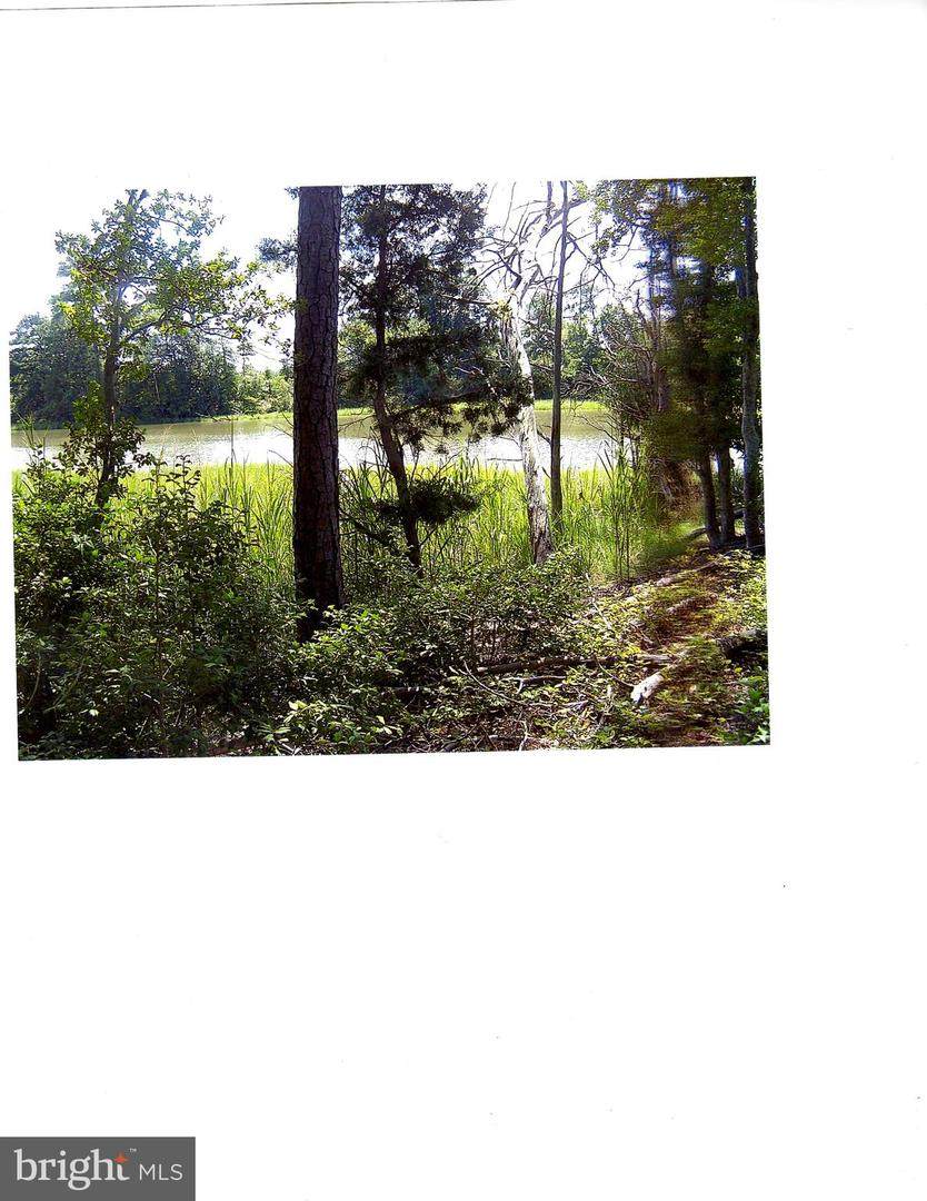 00 Hussey's Creek Road Road - Photo 1