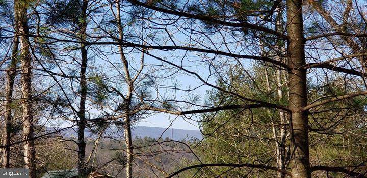 Lot 280 Moccasin Way - Photo 1