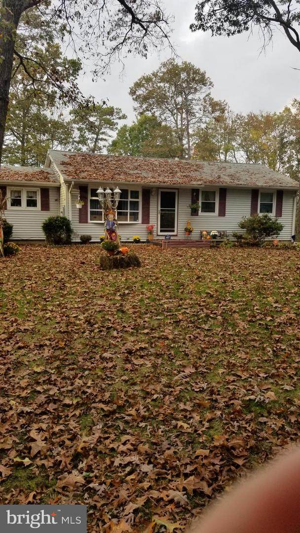 1838 Cedar Street - Photo 1