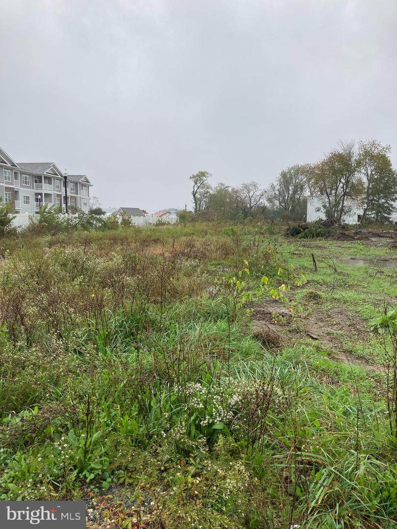 17581 Stingey Lane - Photo 1