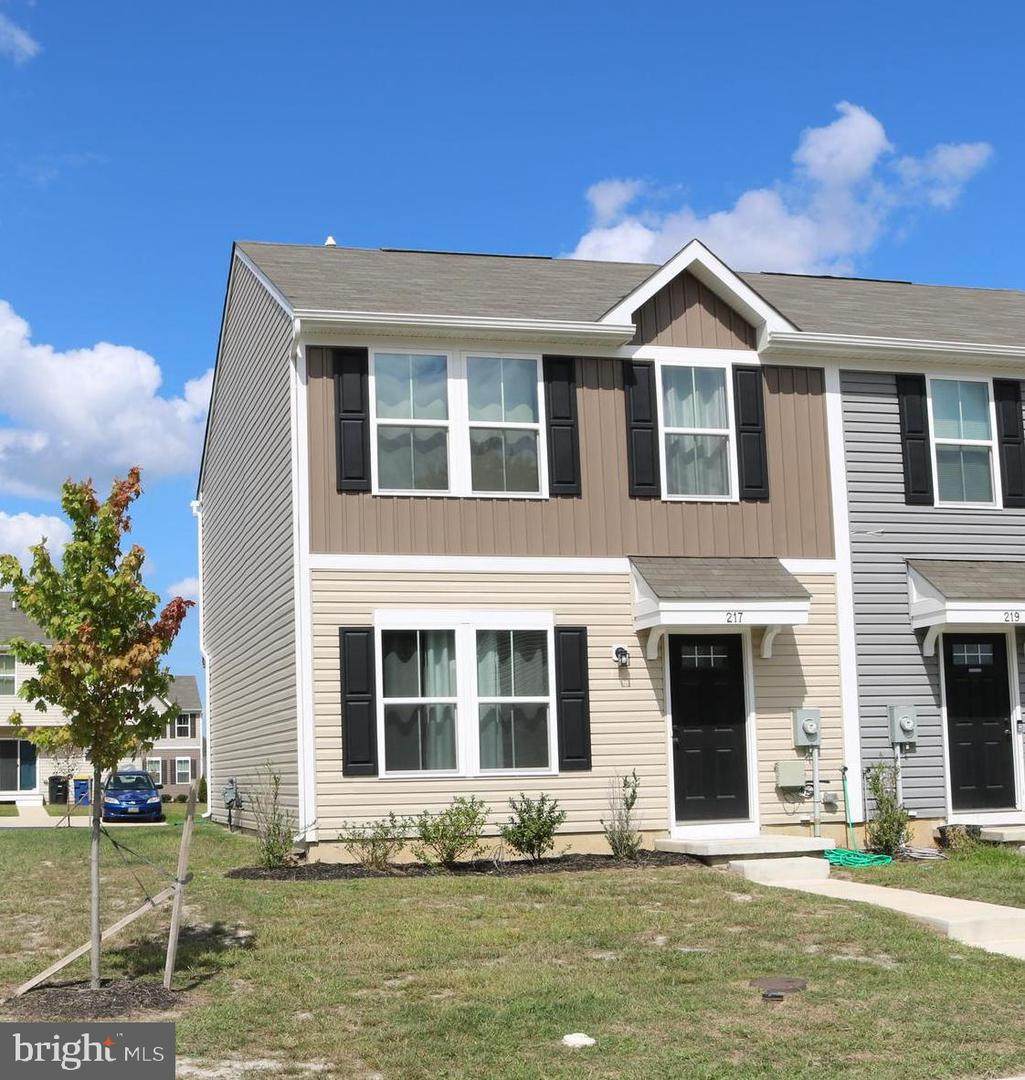 217 Lady Bug Drive - Photo 1