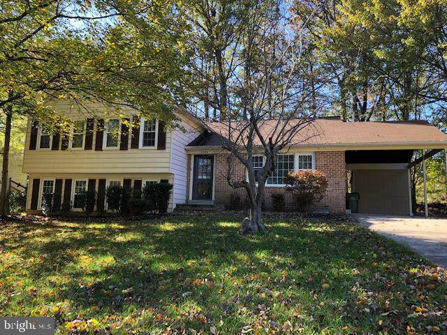 12300 Oakwood Drive - Photo 1