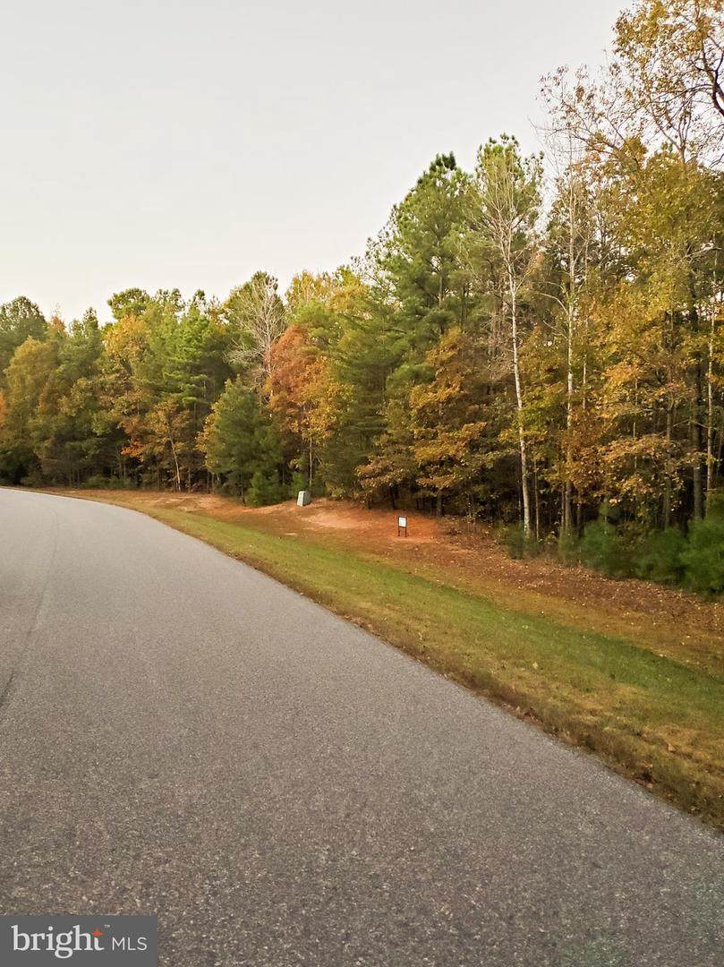 Lot 110 Rainbow Ridge - Photo 1