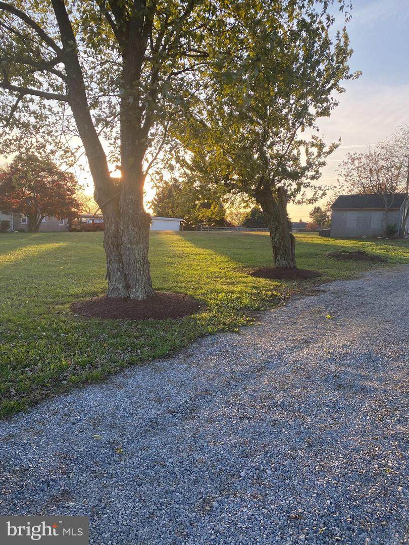 7131 Bowers Road - Photo 1