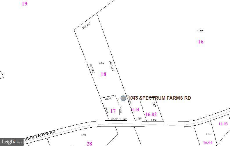 1045 Spectrum Farms Road - Photo 1