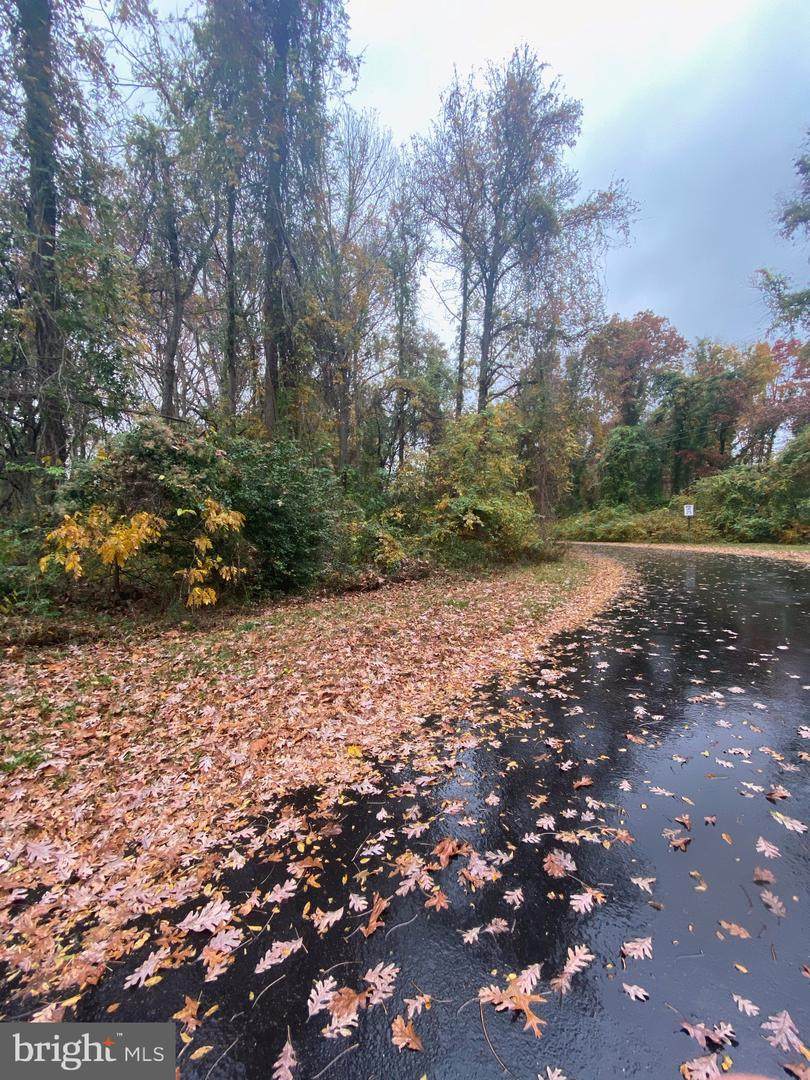 0 Martin Luther King Jr Drive - Photo 1
