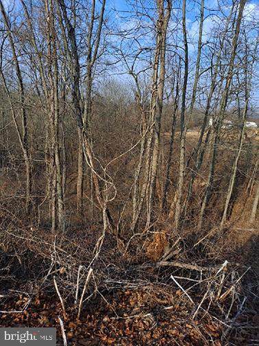 333 South Crossroads Road - Photo 1