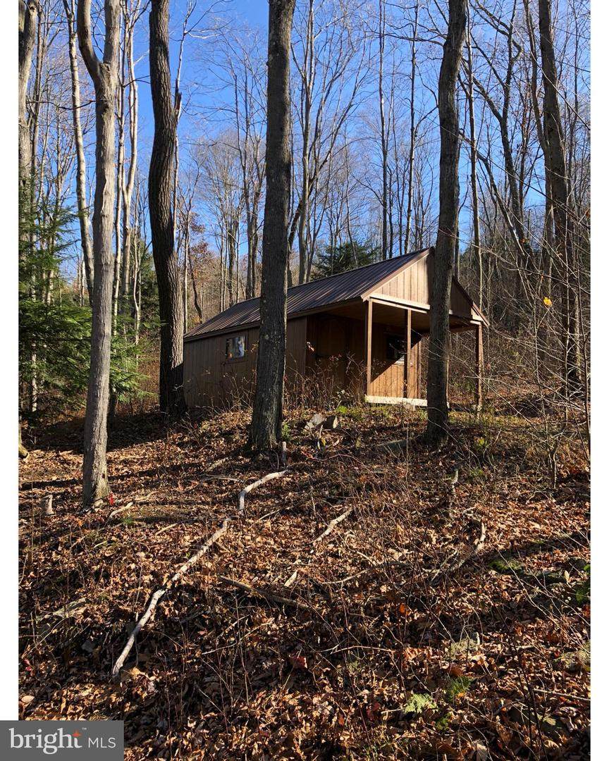 Parcel 37 Frostburg Rd - Photo 1