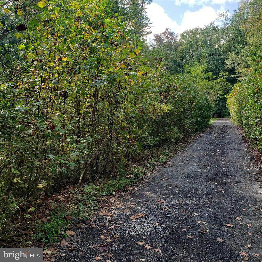 LOT 76 French Road - Photo 1