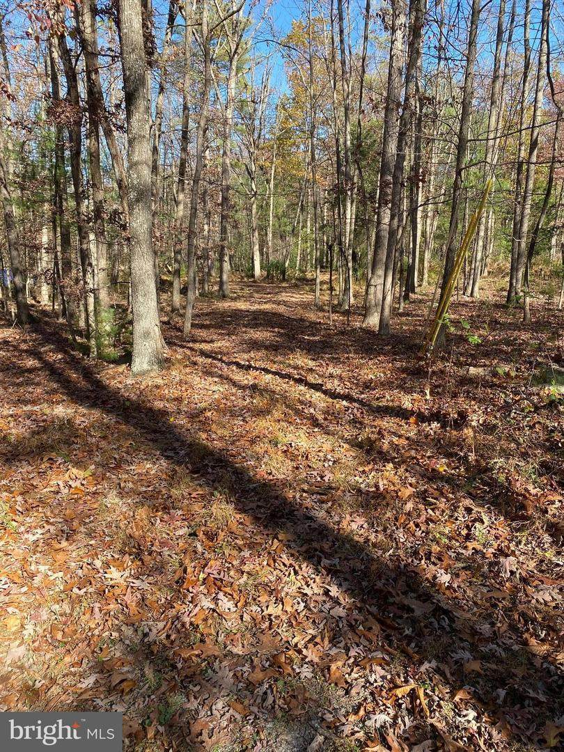 Cub Road Lot 3 - Photo 1