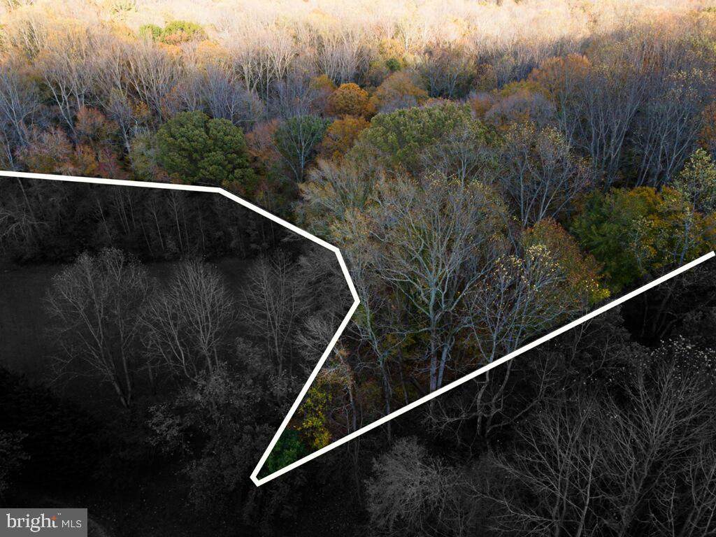 1003 Mount Zion Marlboro Road - Photo 1