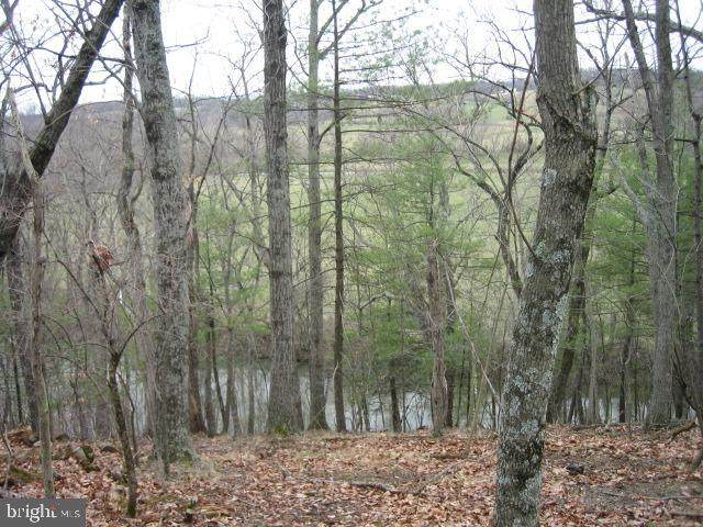 Pineway Road - Photo 1
