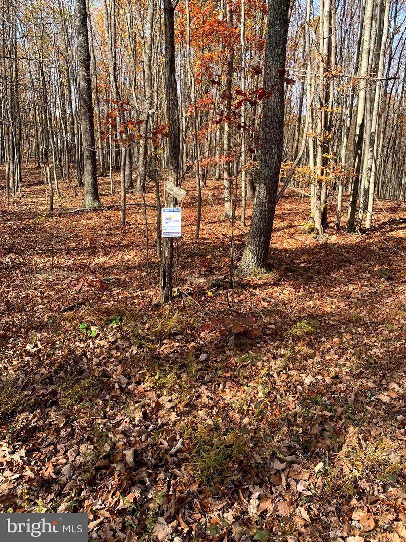 Rolling Ridge Road - Photo 1