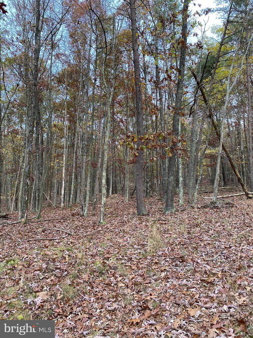 Hollybush Ln Lot 4A - Photo 1