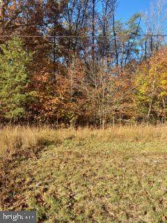 7885 Thomas Valley Place - Photo 1