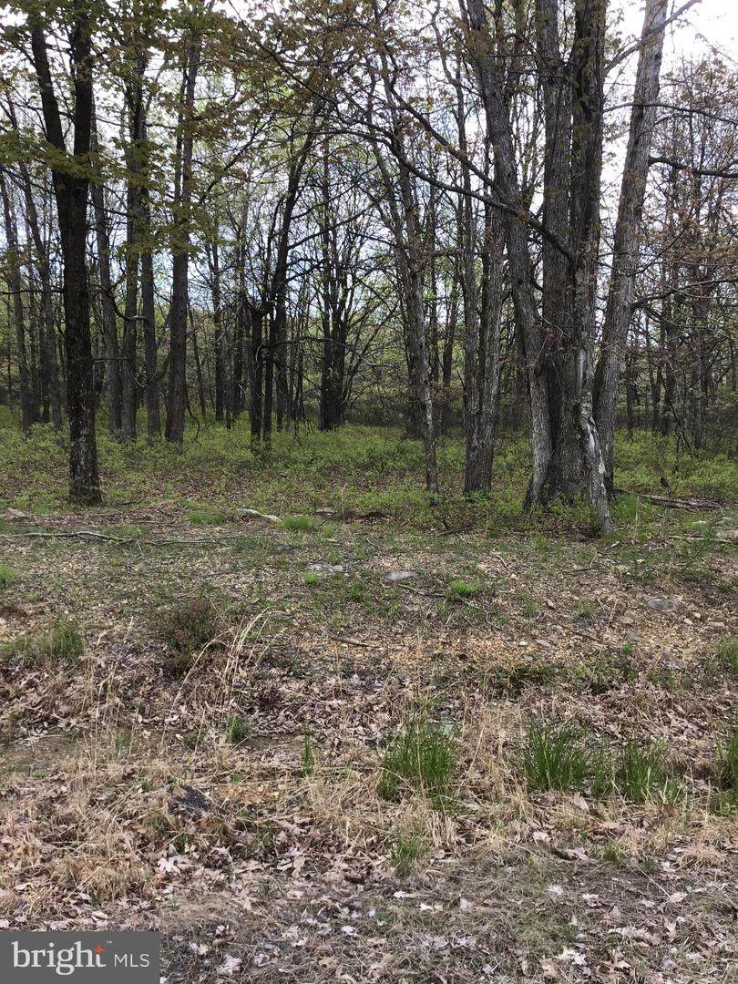 199 Castle Pine - Photo 1