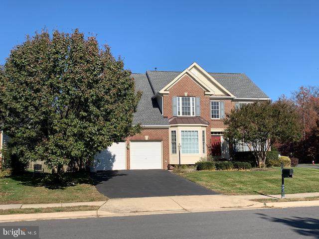 42056 Bear Tooth Drive - Photo 1