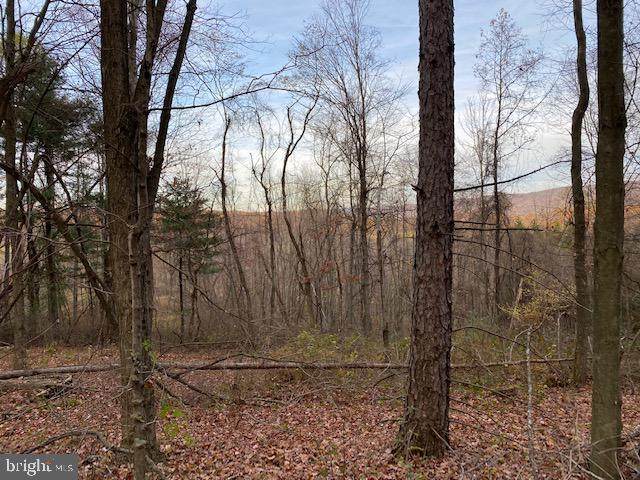 - Buttermilk Hollow Road - Photo 1