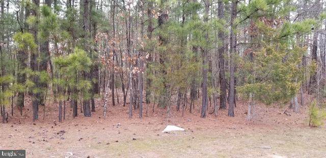 5137 Pouncey Tract - Photo 1