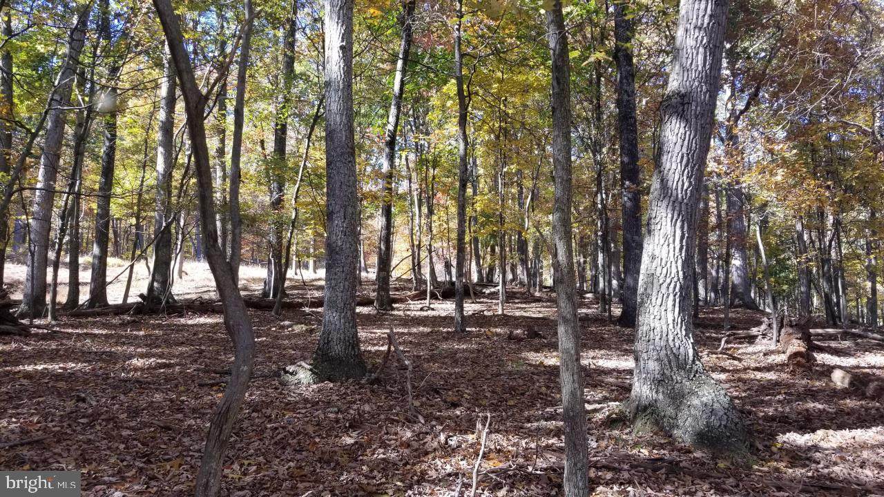 0 Mourning Dove Lane - Photo 1