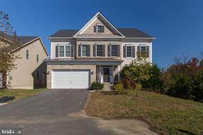 41584 Tring Lane - Photo 1