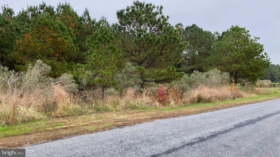 Heather Lane - Photo 1
