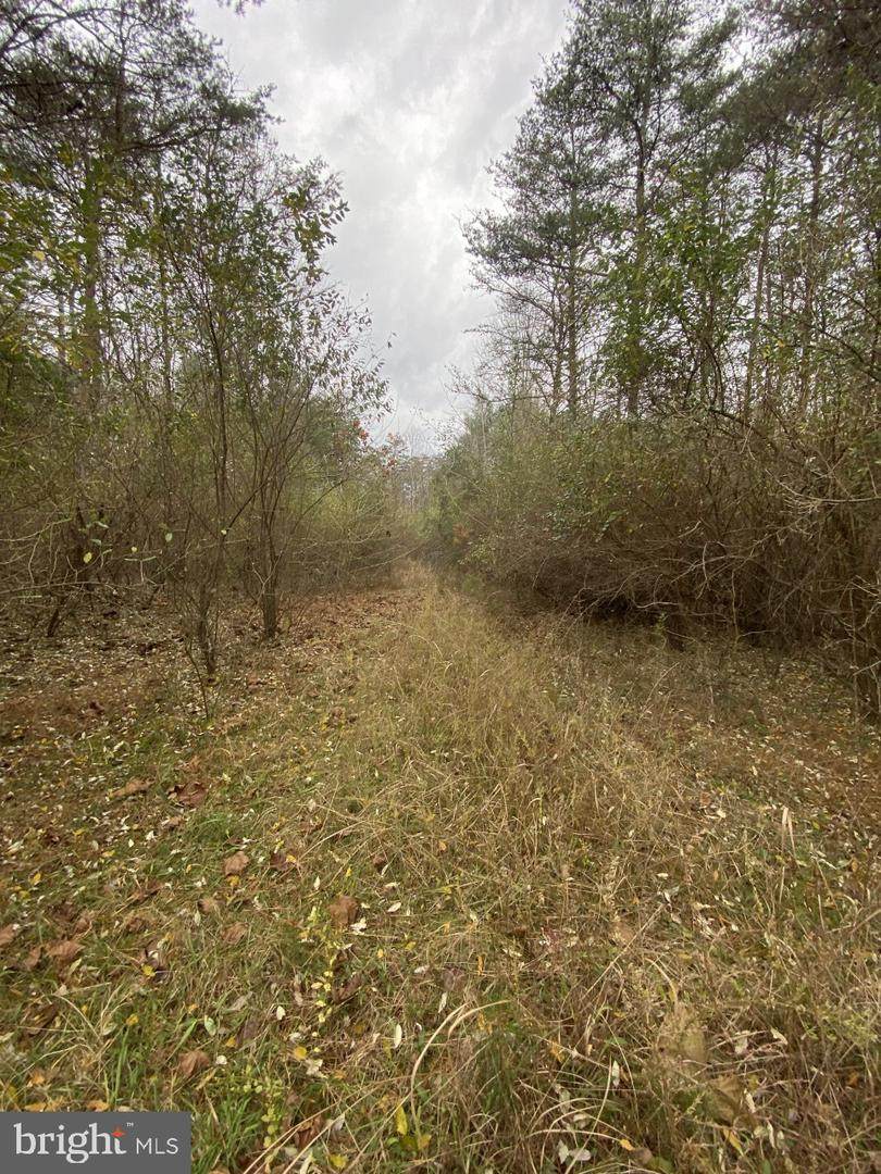 Route 9 Off Of Cedar Point Lane - Photo 1