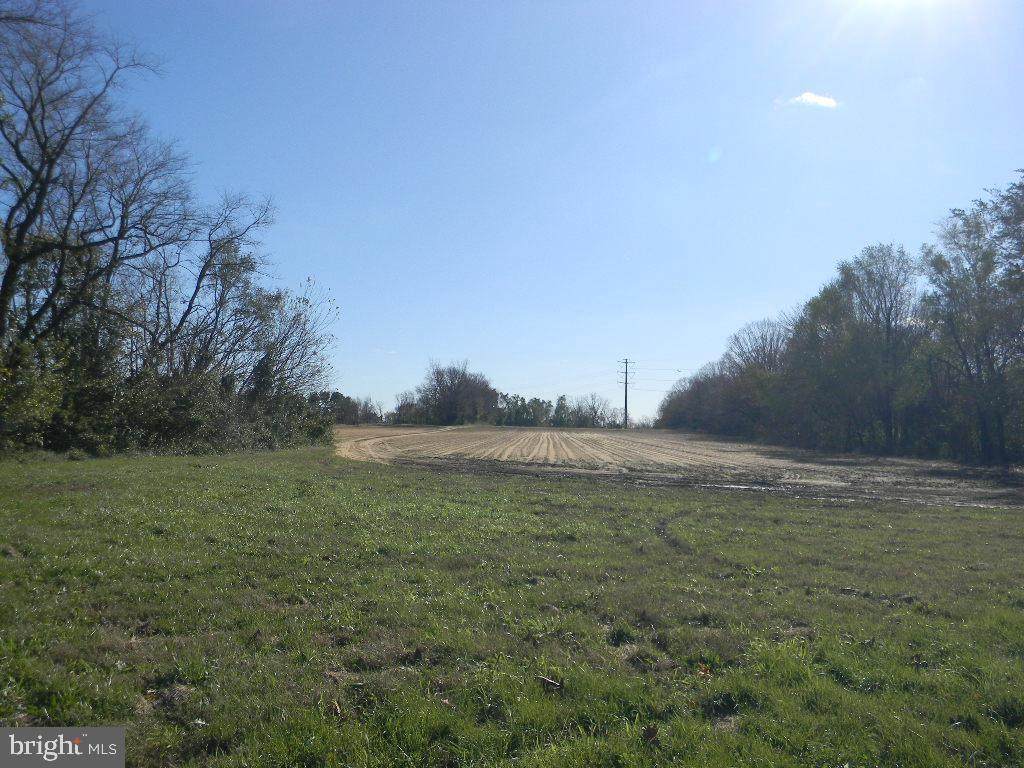 0 Brewster Road - Photo 1