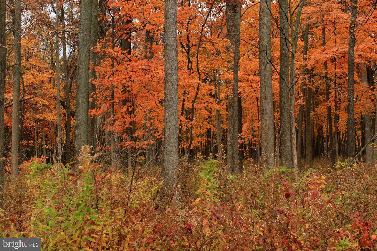 Treasure Mountain Estates - Photo 1
