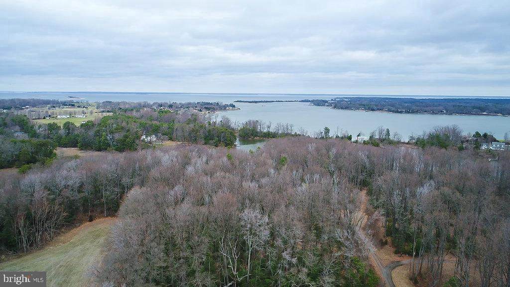 Lot 1 - 1.4 Acres Vaughan's Creek Road - Photo 1