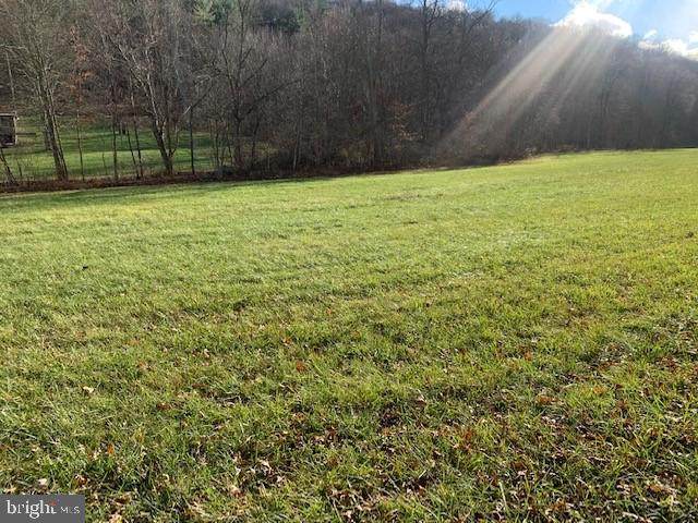 Heister Valley Road - Photo 1