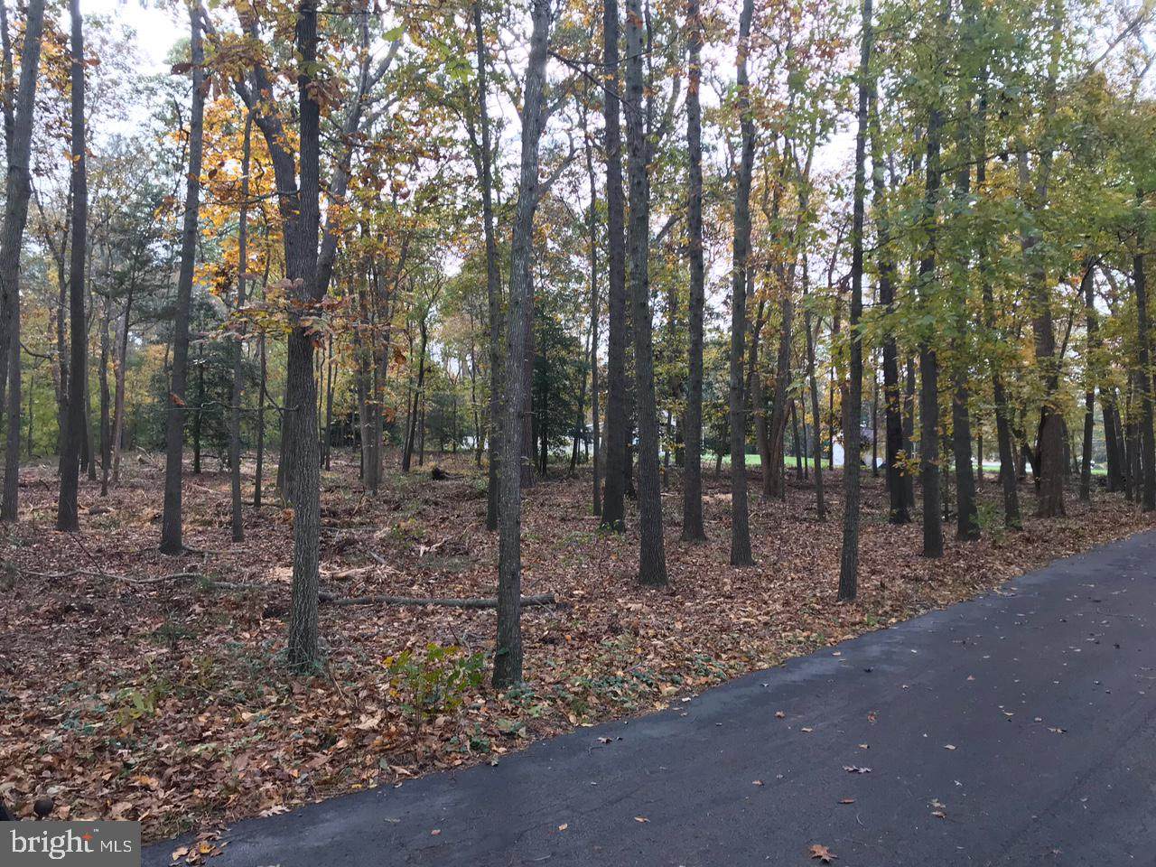 Lot 2 Ajewal Drive - Photo 1